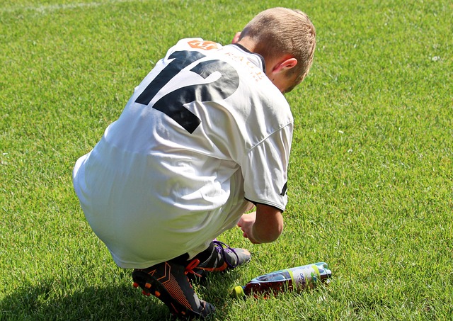 自我領域的 自我領域的